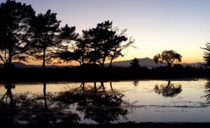 select-riverside-ca-vin-verified-640x480-11496324.jpeg