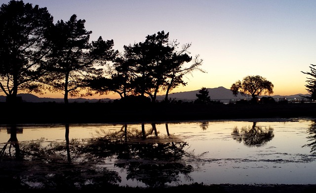 select-riverside-ca-vin-verified-640x480-11496324.jpeg