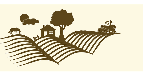 select-salvage-title-rebuilds-640x480-91061097.png