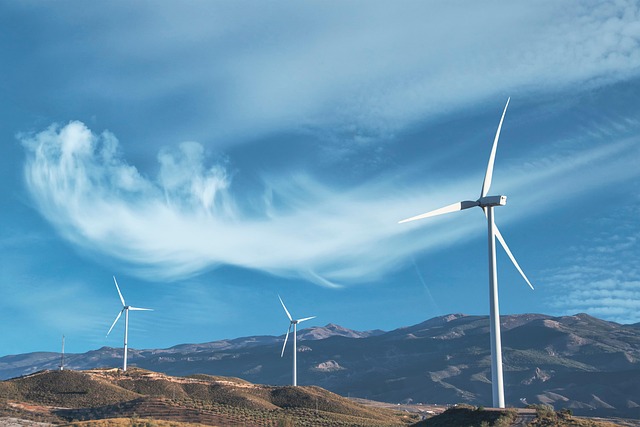 Select Sustainable Vehicles