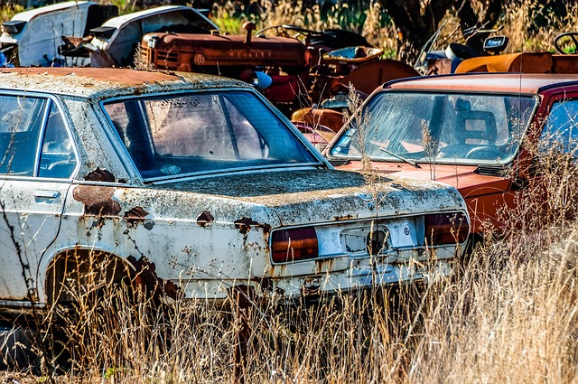 Sustainable Urban Mobility: The Rise of Zero-Emission Taxi Services