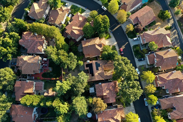 Sustainable Fleet Management: Selecting Vehicles, Green Practices, & Digital Tech