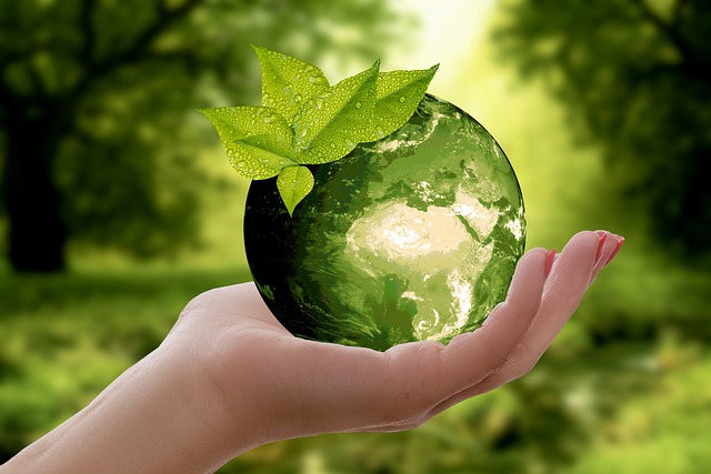 Select Sustainable Vehicles