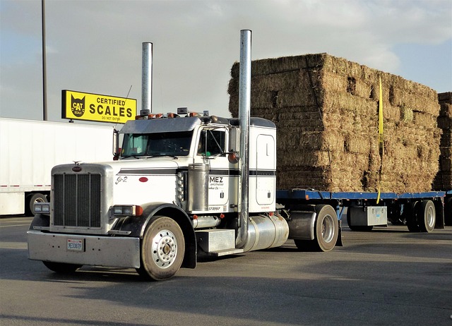Select Trailers