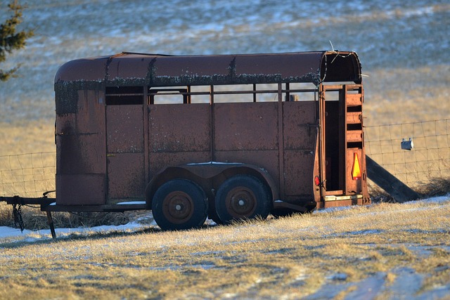 select-trailers-640x480-51889023.jpeg