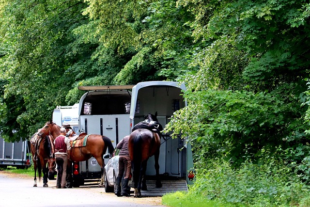 Select Trailers
