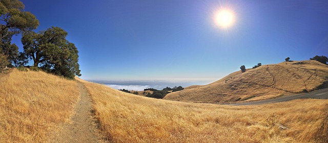 Select Travel to California