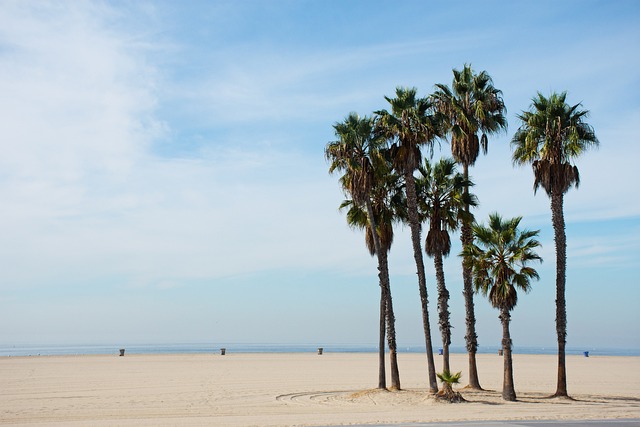 Select Travel to California