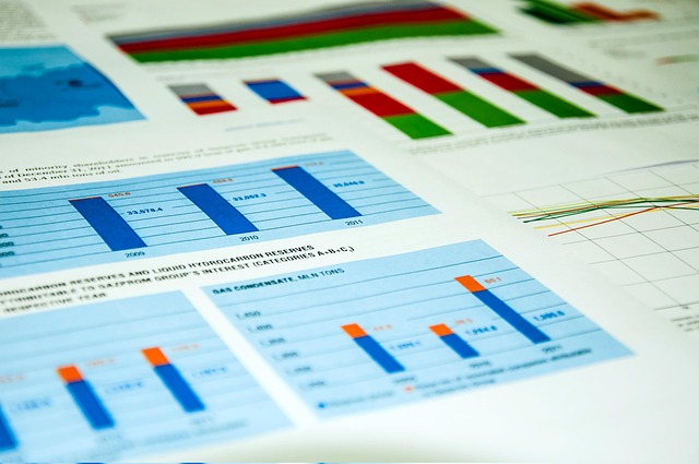 Select Vehicle History Reports