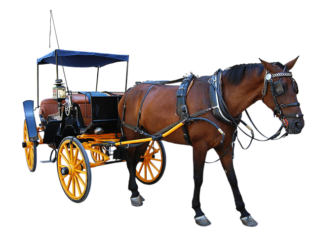 Select Vehicle History Reports