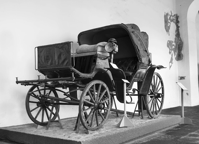 Select Vehicle History Reports