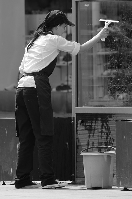 Select Window Tinting