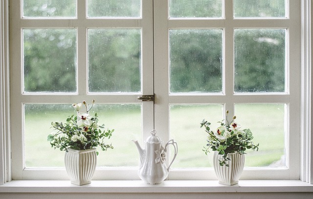 Select Window Tinting