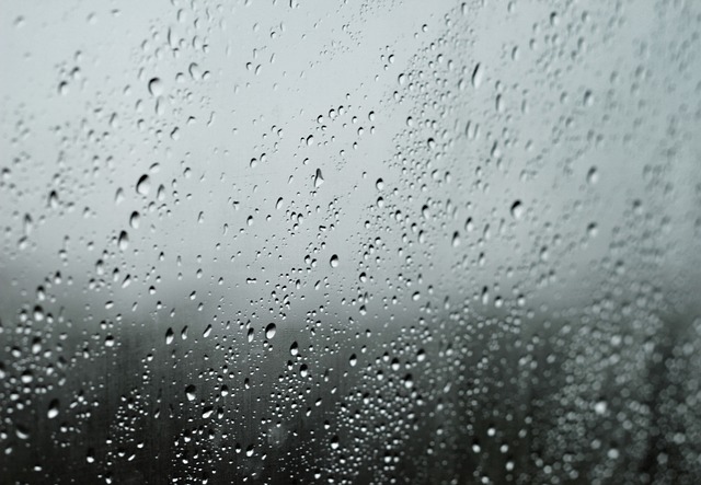 Select Window Tinting