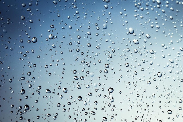 Select Window Tinting