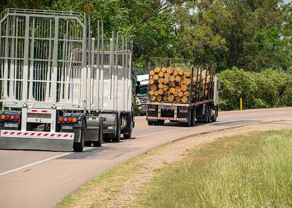 trucks-640x480-28976200.jpeg