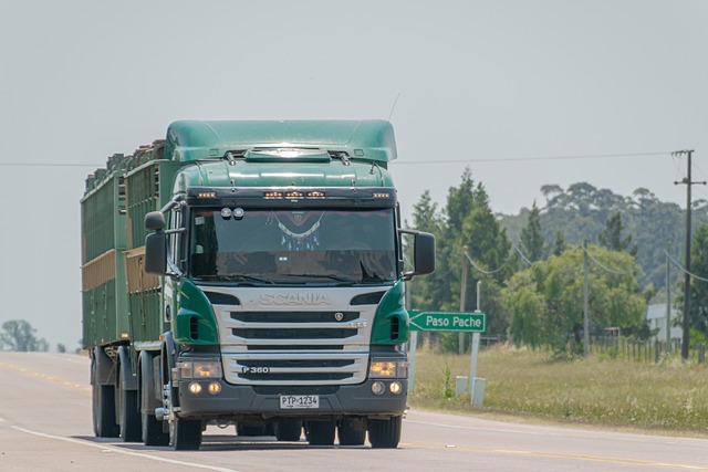 trucks