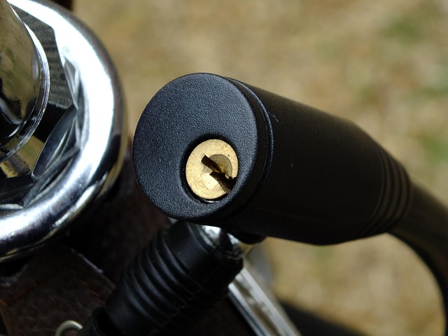Anti-Theft Devices