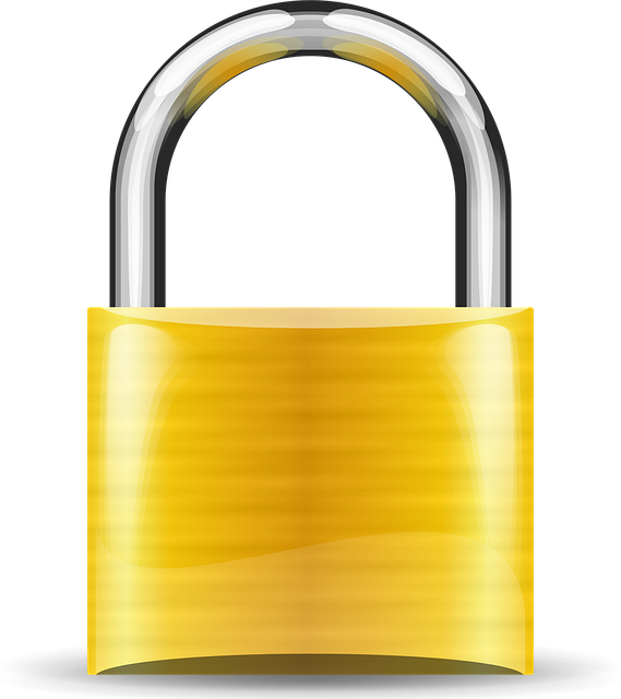 Anti-Theft Devices