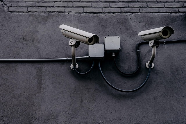 Anti-Theft Devices