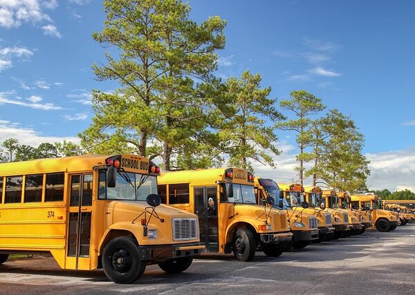 select-buses-640x480-1850385.jpeg