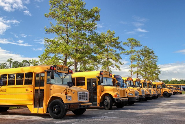 select-buses-640x480-1850385.jpeg