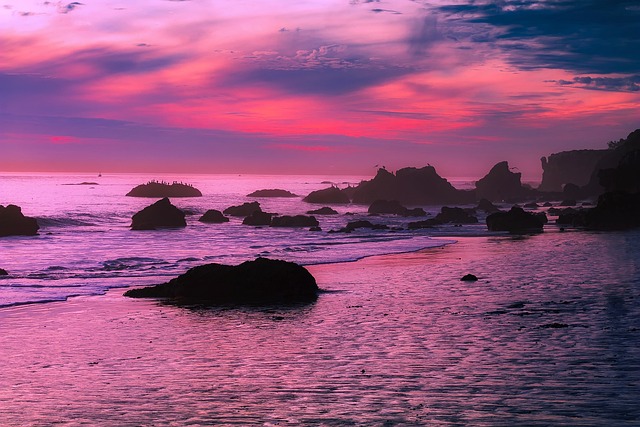 Select California Taxes