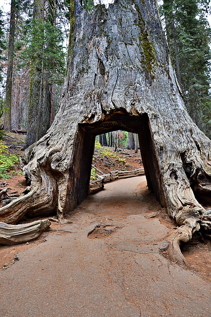 Select California Taxes