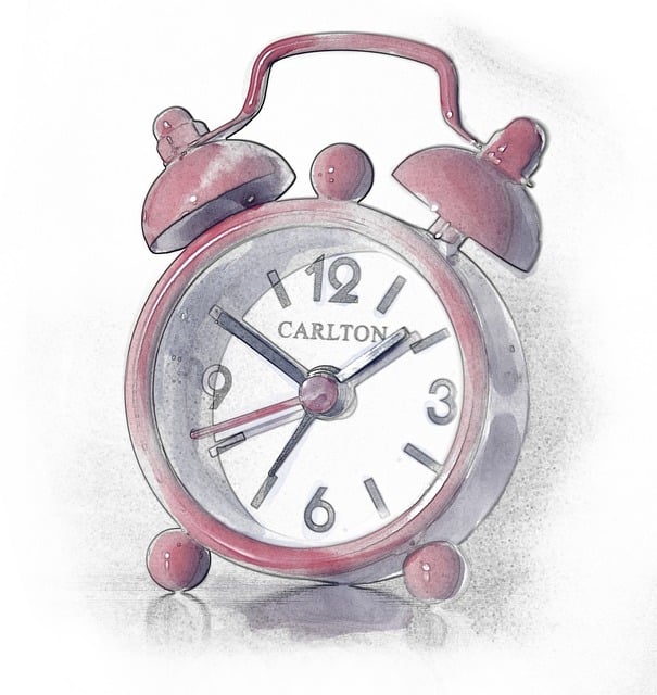 Select Car Alarms