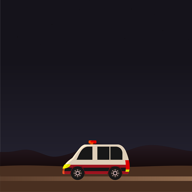 Select Car Alarms