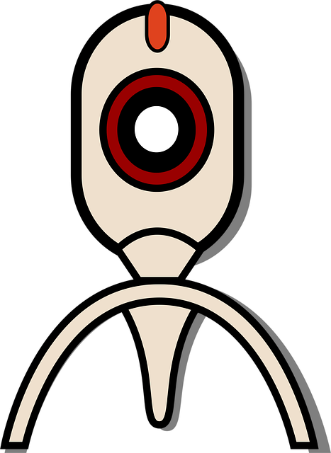Select Dash Cams