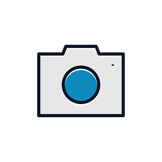 Select Dash Cams