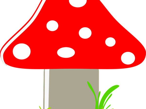 select-dot-compliance-640x480-44403794.png