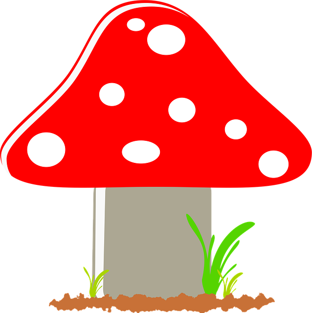 select-dot-compliance-640x480-44403794.png