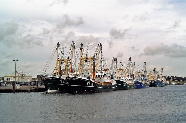 Select Fleet Management