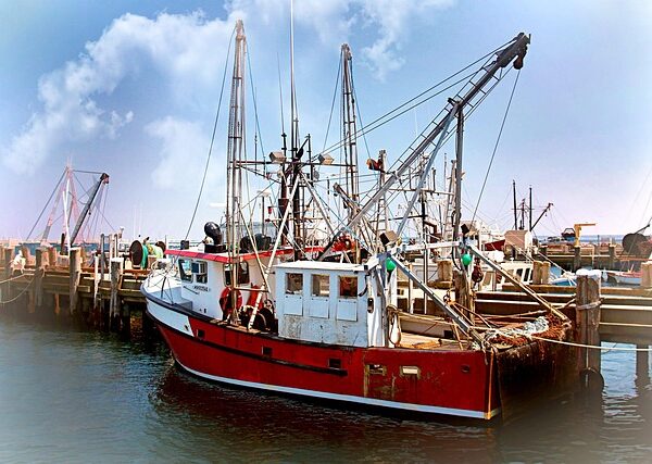 select-fleet-management-640x480-27847926.jpeg