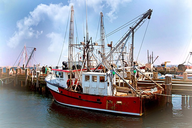 select-fleet-management-640x480-27847926.jpeg