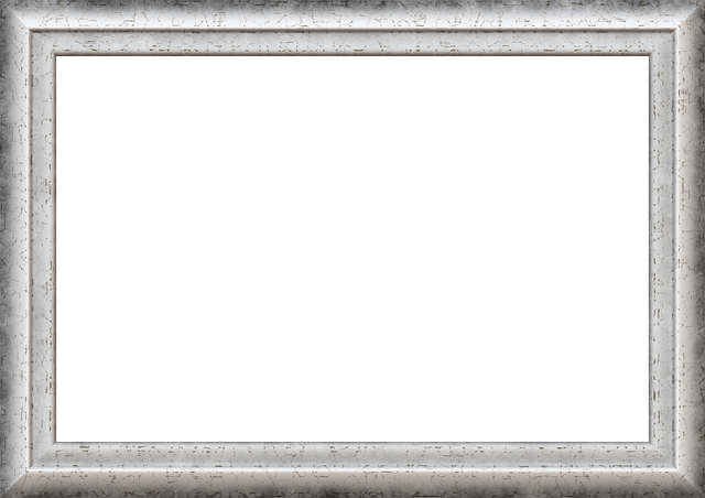 Select Frame Repair