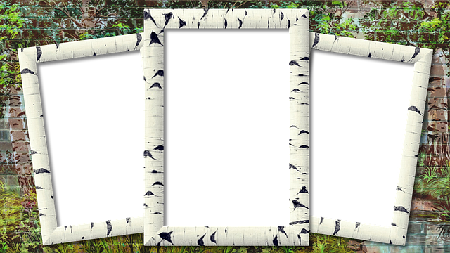 select-frame-repair-640x480-71601447.png