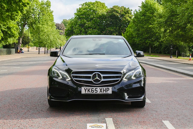 Select License Plate Privacy