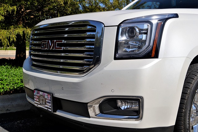 Select License Plate Privacy