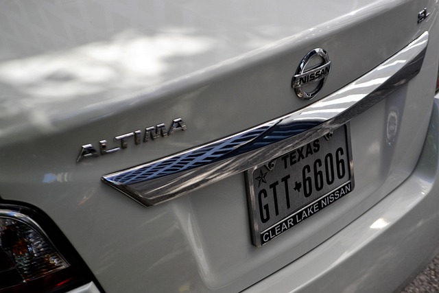 Select License Plate Privacy