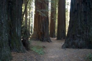 select-moving-to-california-640x480-62303930.jpeg