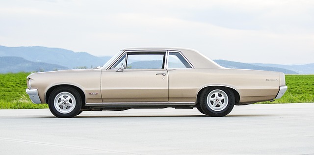 Select Muscle Cars