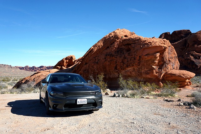 Select Muscle Cars
