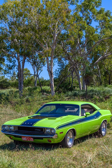 Select Muscle Cars