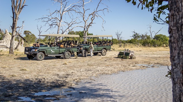 Select Off-Road Vehicles