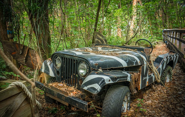Select Off-Road Vehicles