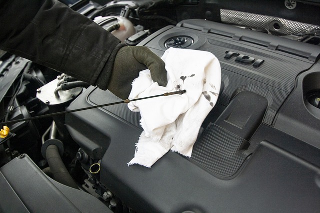 Select Oil Changes