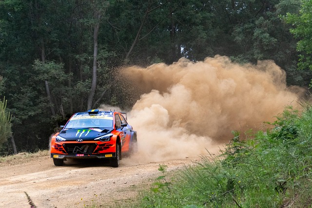 Select Rally Racing